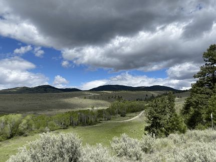 Property for sale in Missoula County, Montana