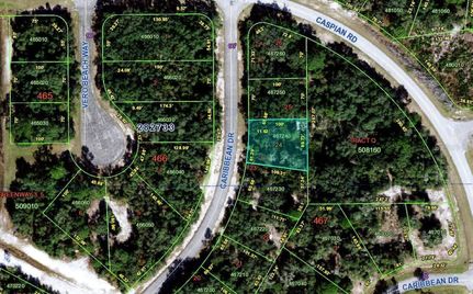 Property in Polk County, Florida