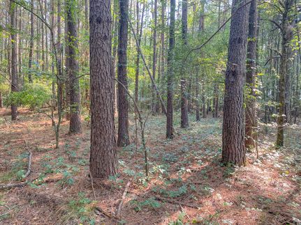 Property for sale in Bowie County, Texas