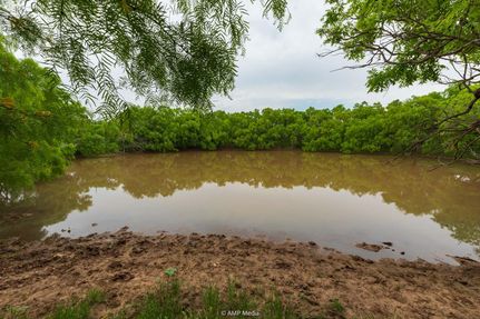 Hunting Land for sale in Jones County, Texas