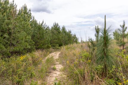 Property for sale in Macon County, Georgia