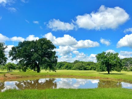 Property for sale in Freestone County, Texas