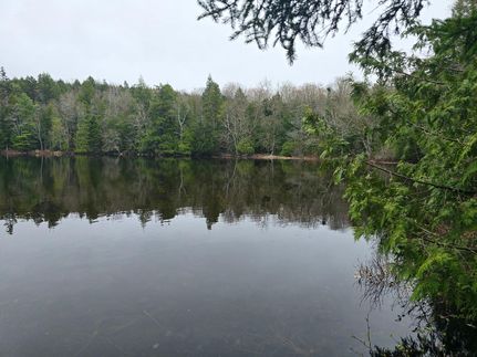 Property in Washington County, Maine