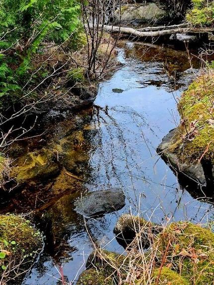 Property in Aroostook County, Maine