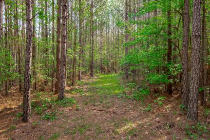 Property for sale in Saluda County, South Carolina