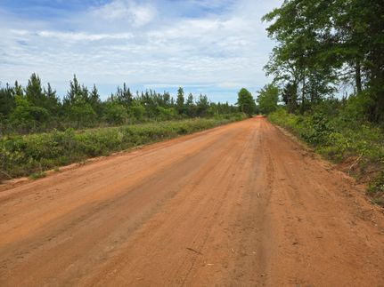 Property for sale in Schley County, Georgia