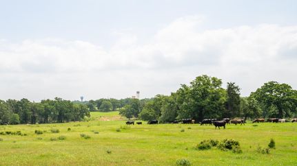 Recreational Property for sale in Milam County, Texas