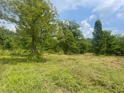 Property for sale in Lyon County, Kentucky