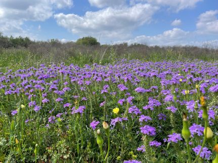 Property for sale in Hamilton County, Texas