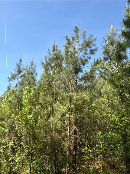 Property for sale in Beaufort County, North Carolina