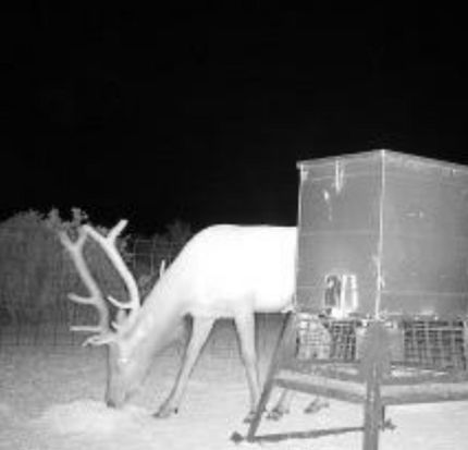 Property for sale in Val Verde County, Texas