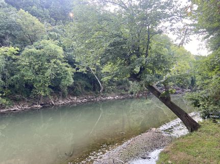 Property in Greene County, Missouri