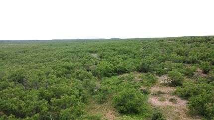 Property in Coke County, Texas