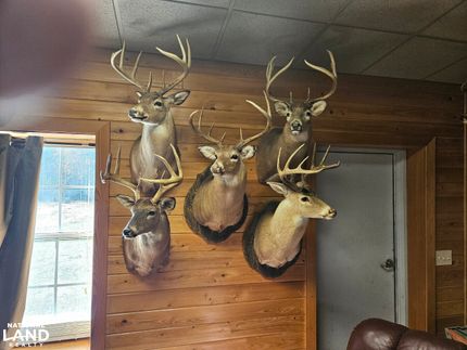 Property in Henry County, Alabama