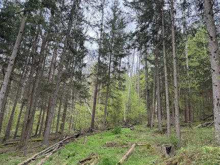 Property for sale in McKean County, Pennsylvania