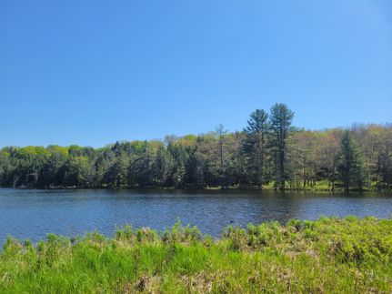 Hunting Land for sale in Wayne County, Pennsylvania