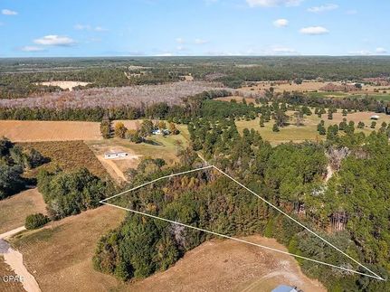 Undeveloped Land for sale in Holmes County, Florida
