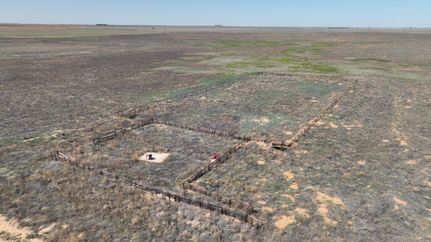 Hunting Land for sale in Lamb County, Texas