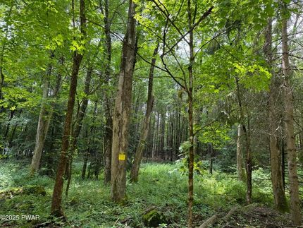 Property for sale in Wayne County, Pennsylvania