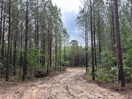 Property for sale in Choctaw County, Mississippi