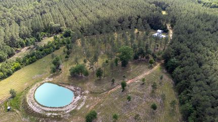 Timberland Property for sale in Tyler County, Texas