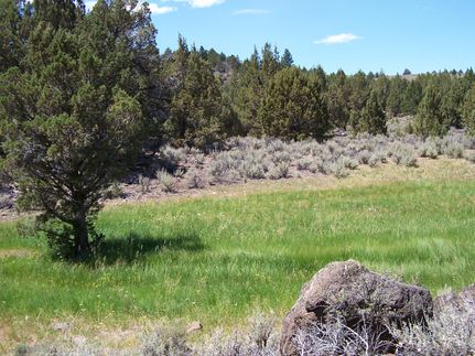 Hunting Land for sale in Lassen County, California