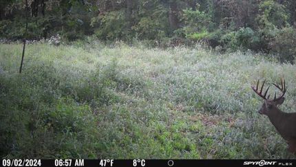 Property in Harrison County, Missouri