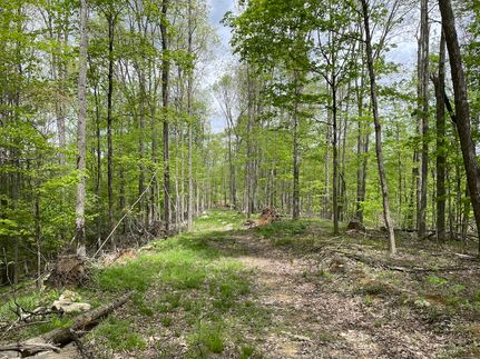 Hunting Land for sale in Randolph County, West Virginia