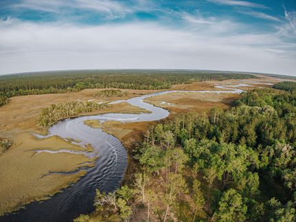 Property for sale in Glynn County, Georgia