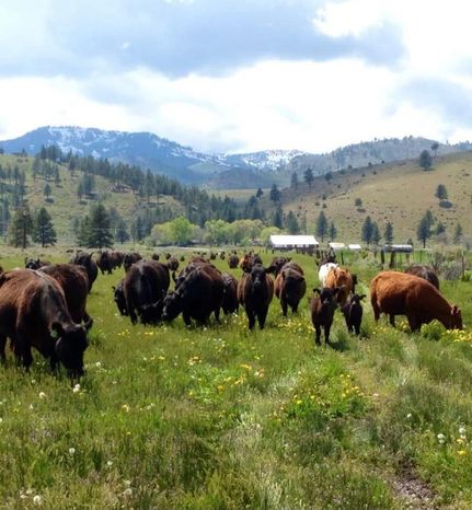 Property in Sierra County, California