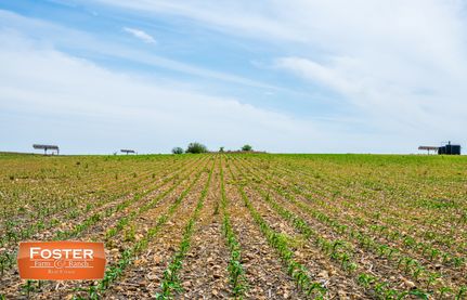 Property for sale in Medina County, Texas