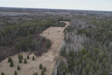 Property in Delta County, Michigan