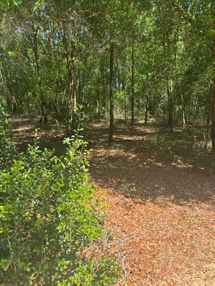 Property for sale in Tattnall County, Georgia