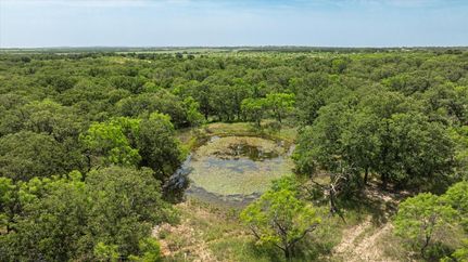 Undeveloped Land for sale in Eastland County, Texas