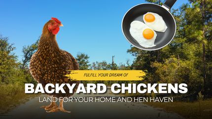 Property in Jackson County, Florida