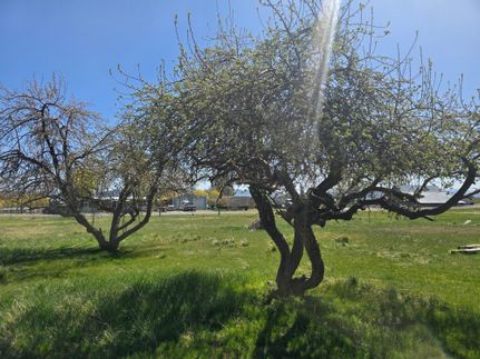 Commercial Property for sale in Lake County, Oregon