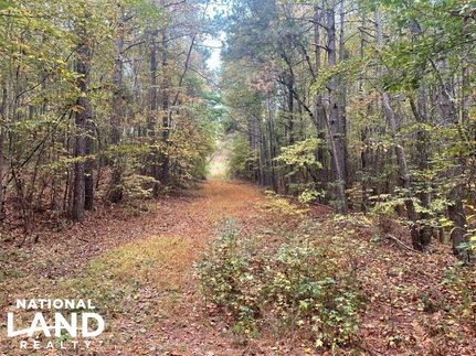 Property in Fayette County, Alabama