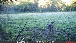 Property in Coles County, Illinois