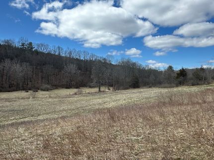 Timberland Property for sale in Greene County, New York