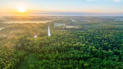 Timberland Property for sale in Clay County, Illinois