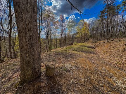 Property for sale in Wirt County, West Virginia