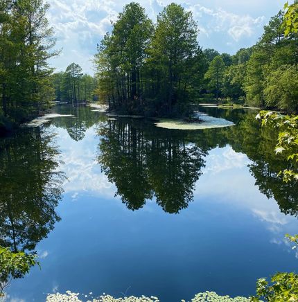 Property in Bowie County, Texas