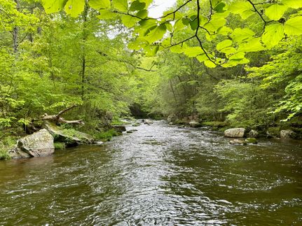 Timberland Property for sale in Tolland County, Connecticut