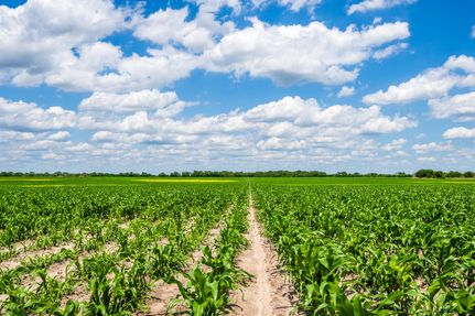 Property for sale in Bee County, Texas