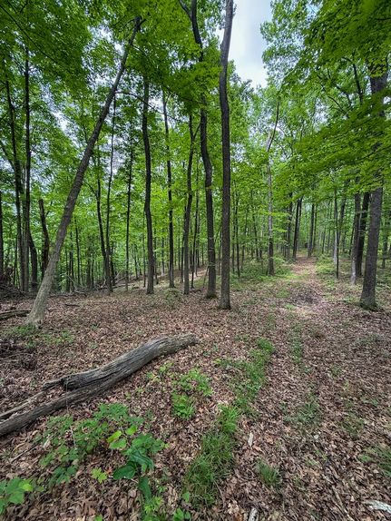 Undeveloped Land for sale in Rowan County, Kentucky