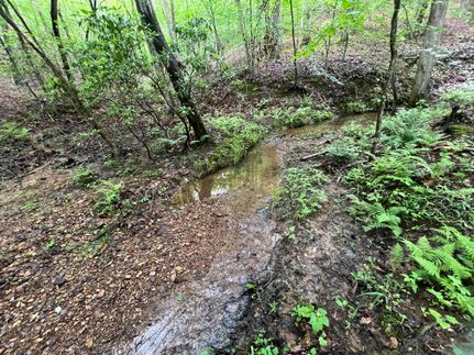 Undeveloped Land for sale in Cherokee County, Georgia