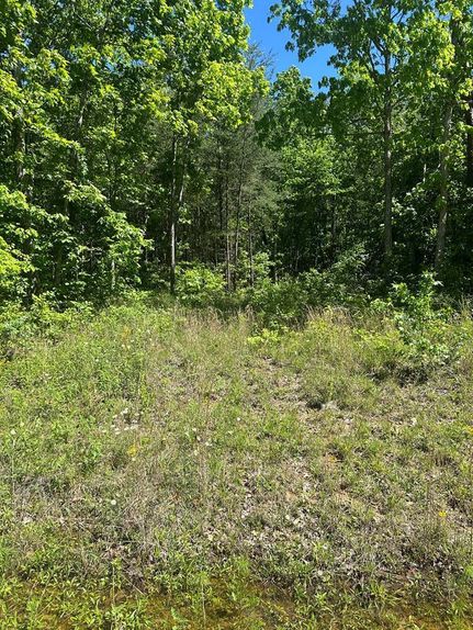 Property for sale in Fentress County, Tennessee