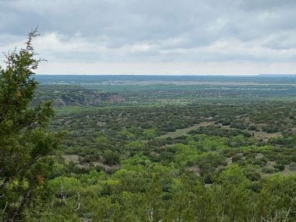 Horse Property for sale in Stonewall County, Texas