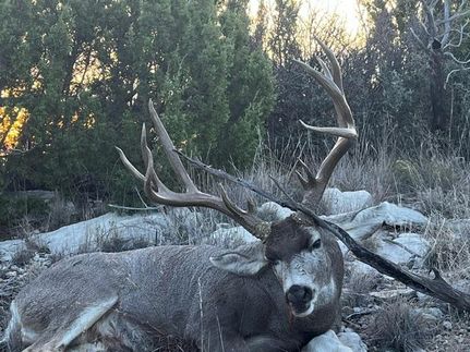 Property for sale in Stonewall County, Texas