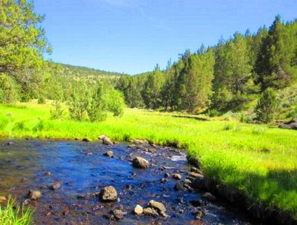 Undeveloped Land for sale in Modoc County, California